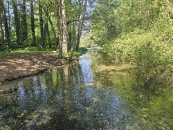 Les étangs - Saint-Aubin-le-Cauf
